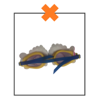 Duikbril eenhoorn groot